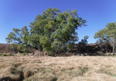 Henbury Meteorites Conservation Reserve