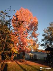 Nundle Art Gallery