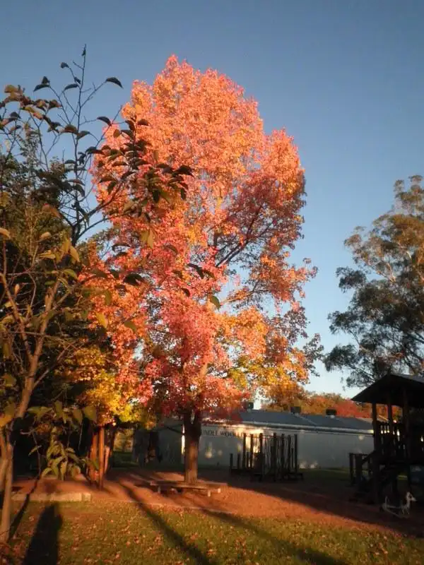 Hotels in Nundle