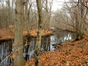 Eisenhower Park