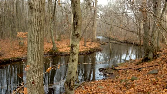 Eisenhower Park