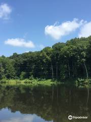 Lark Valley Zip Lines