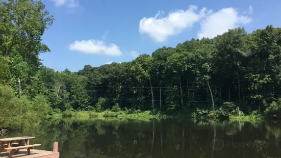 Lark Valley Zip Lines