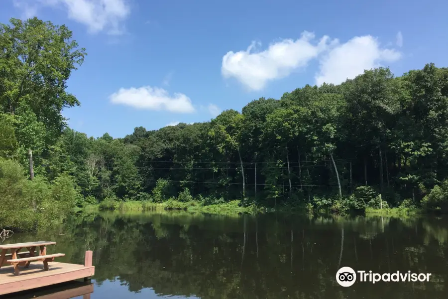 Lark Valley Zip Lines