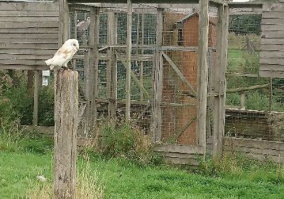 The Wolds Way Owl Trust