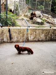 Pleven Zoo