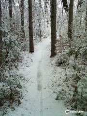 Lowes Creek County Park