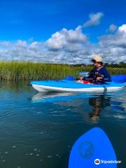 Trailblaze Adventure Kayak & Paddle Board Tours