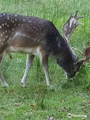 Wildpark Neuhaus