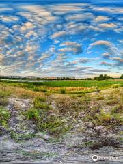 Local Preserve Chyste Lake