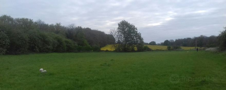 Finedon Cally Banks
