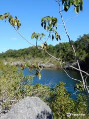 Key Largo Hammocks State Botanical Site