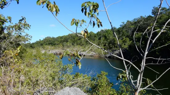Dagny Johnson Key Largo Hammock Botanical State Park