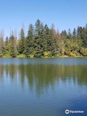 Lacamas Lake