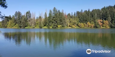 Lacamas Lake