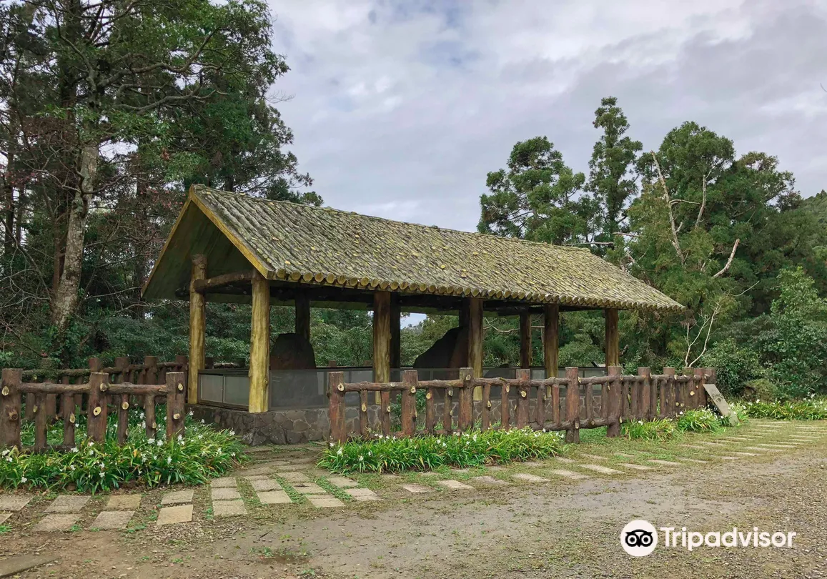 5_東眼山國家森林遊樂區