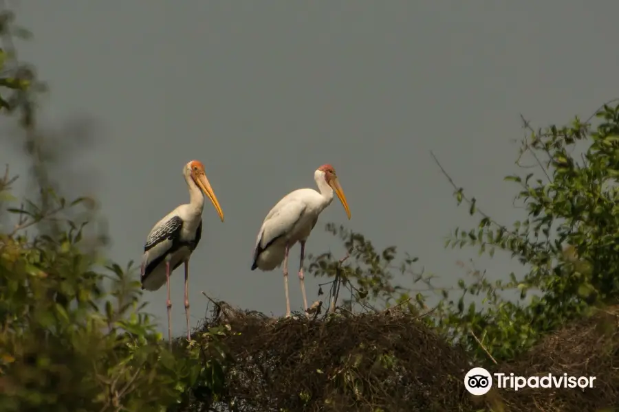 Sam Veasna Conservation Tours (SVC)