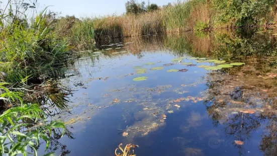 De Alde Feanen National Park