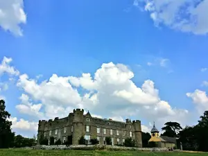 National Trust - Croft Castle and Parkland