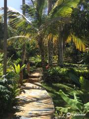 Plantation Crown and Hawk Botanical Garden