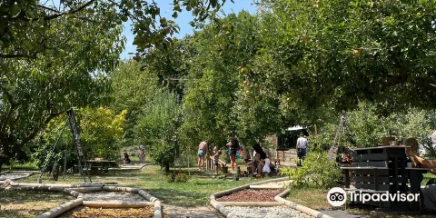 Mezítkáli - Footstools