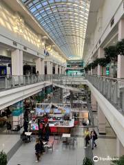 Shopping Center Kaluzhskiy