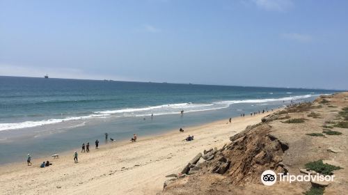 Dog Beach | Huntington Beach