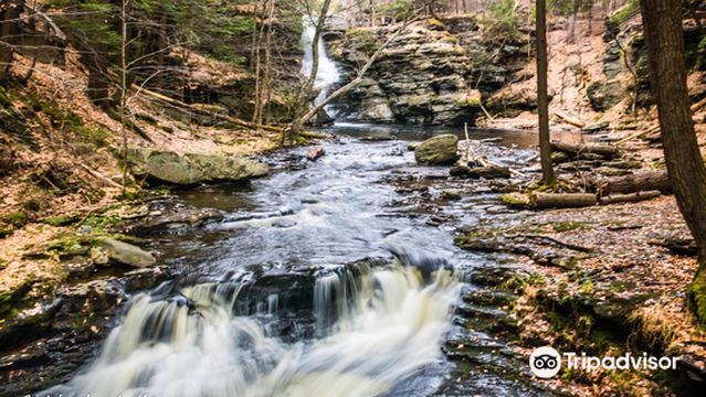 George W. Childs Park