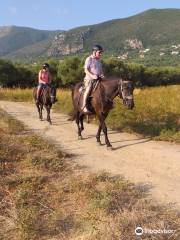 RODEO Alykes Horse Riding