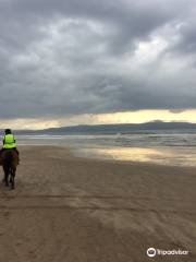 Hill Farm Riding Stables