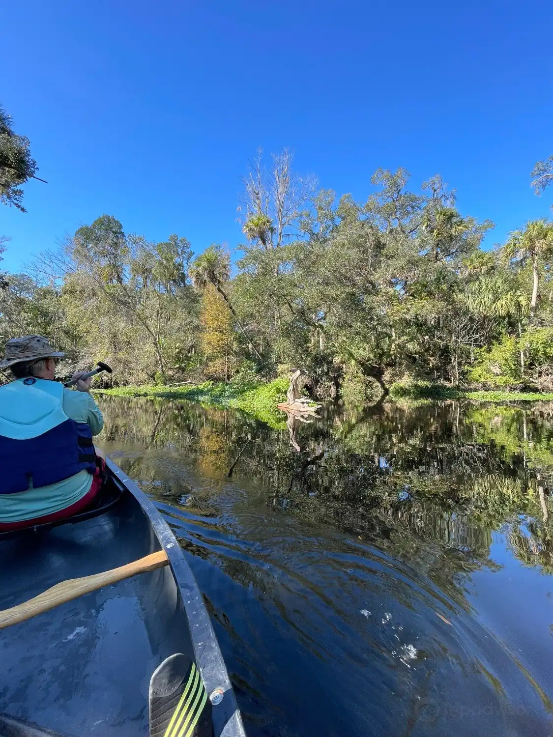 Hotels near Hillsborough River State Park