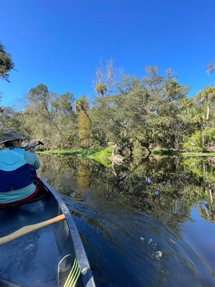 Hotels in der Nähe von Hillsborough River State Park