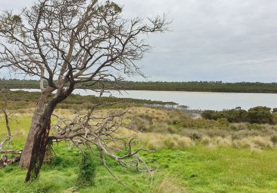 Rhyll Inlet State Wildlife Reserve