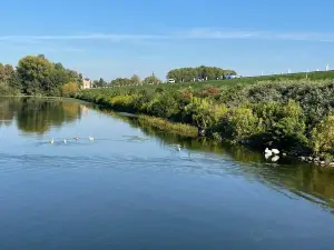Parco del Mincio