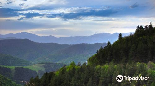 Dilijan National Park