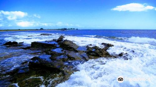 Salt Pond Beach Park