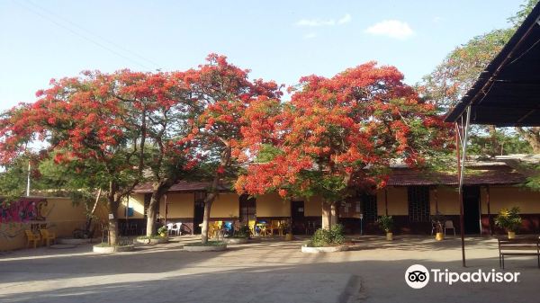 Flüge von Amman nach Dire Dawa