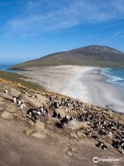 Saunders Island