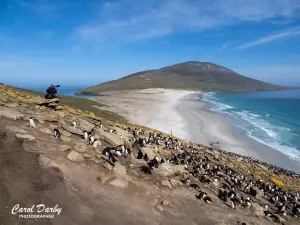 Saunders Island