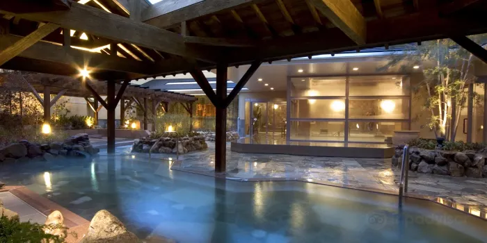 Tennen Onsen Naniwanoyu image 0