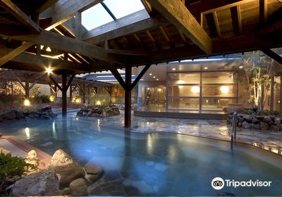 Tennen Onsen Naniwanoyu