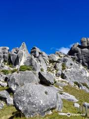 Kura Tawhiti (Castle Hill conservation area)