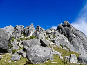 Kura Tawhiti (Castle Hill conservation area)