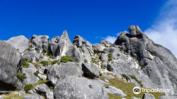 Kura Tawhiti (Castle Hill conservation area)