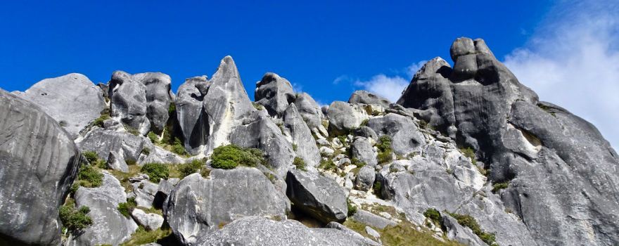 Kura Tawhiti (Castle Hill conservation area)
