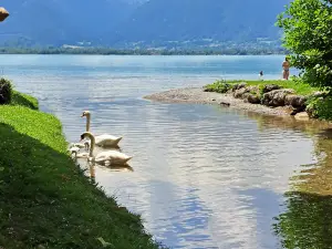 Plage d'Angon