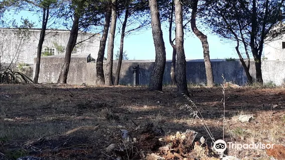 Forte de Santo Antonio da Barra