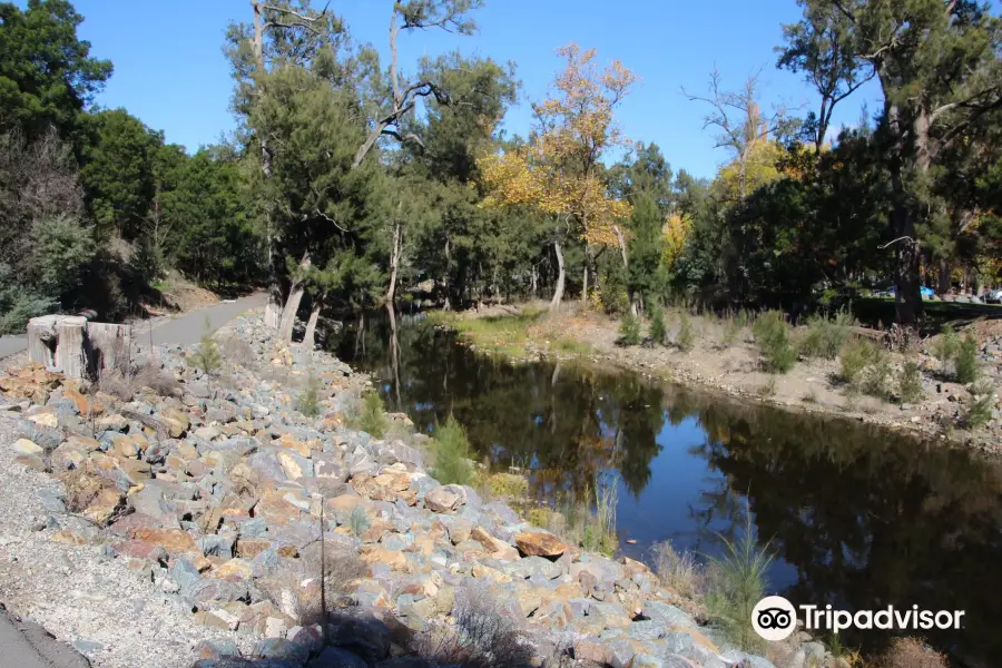 Cotter Precinct, Murrumbidgee Nature Reserve