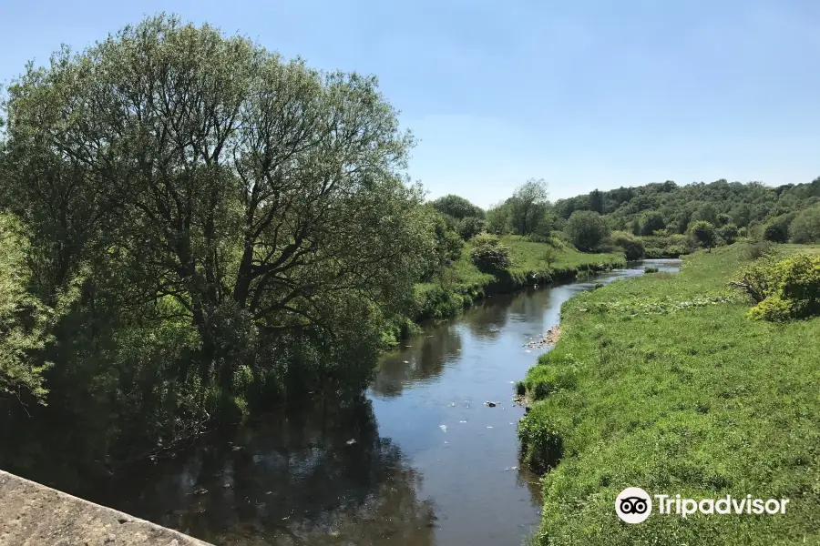 Witton Country Park