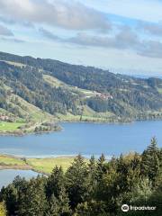 Alpsee Bergwelt